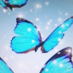 Meet your Posher, Ash